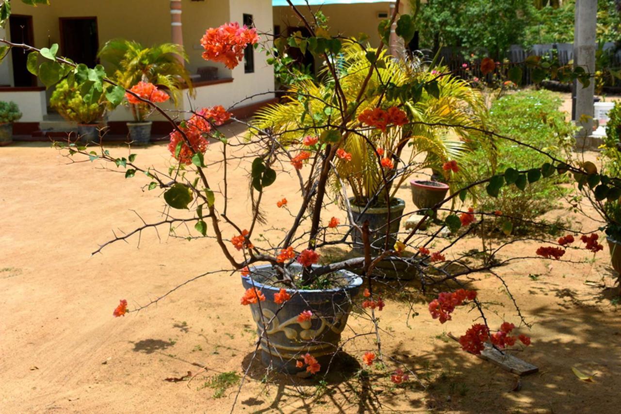 Passikudah Yaswi Guest House מראה חיצוני תמונה
